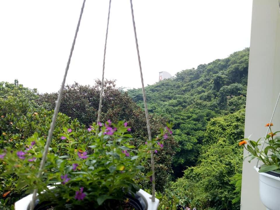 Lam Son Hotel & Apartments Vung Tau Buitenkant foto