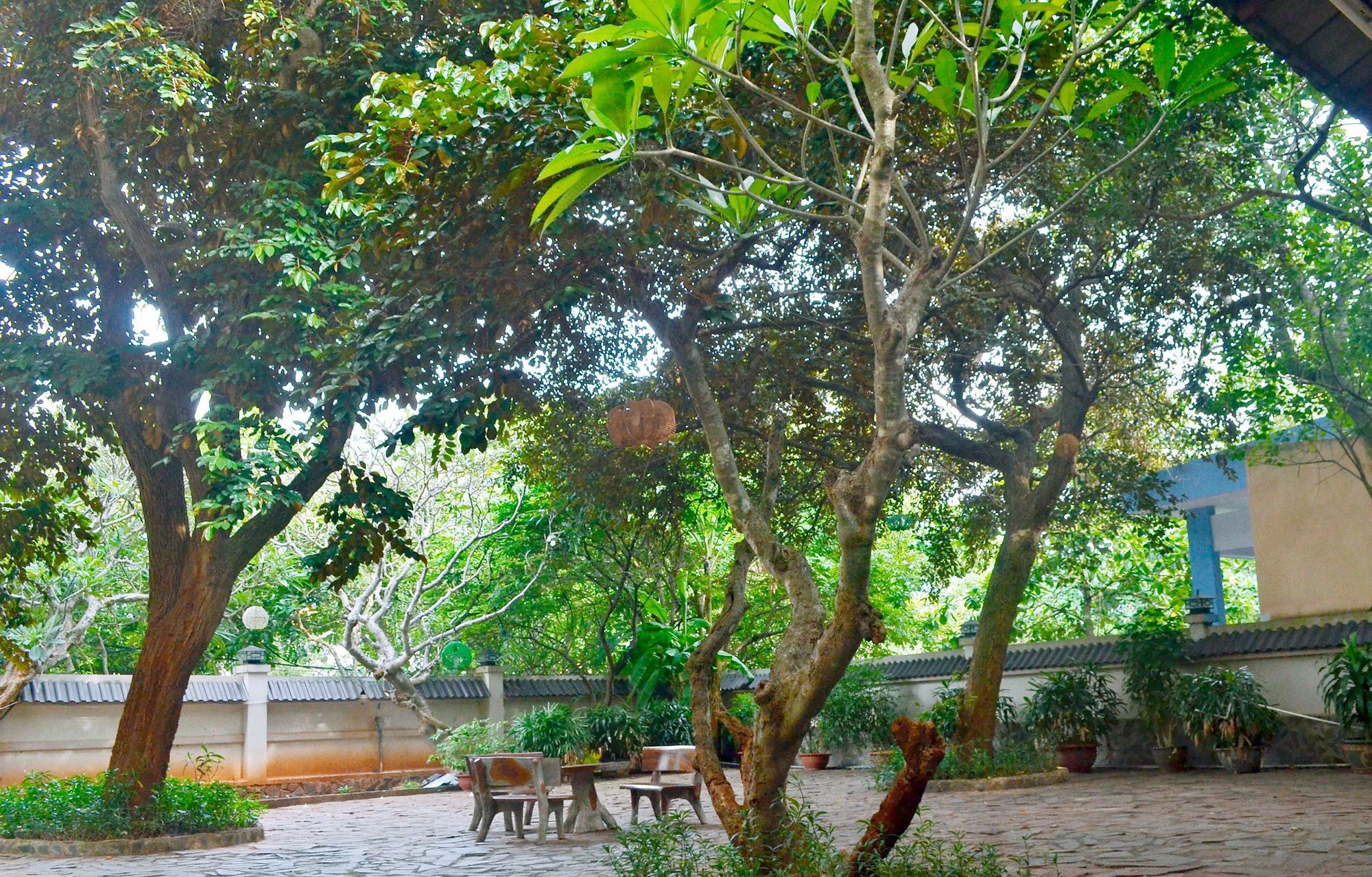 Lam Son Hotel & Apartments Vung Tau Buitenkant foto